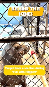 9.6K views · 152 reactions | Ever dreamt of going behind-the-scenes at the Zoo? Explore our WILD selection of Behind-the-Scenes tours and book your unforgettable adventure today on our website: https://fresnochaffeezoo.org/behind-the-scenes/ | Fresno Chaffee Zoo | Facebook