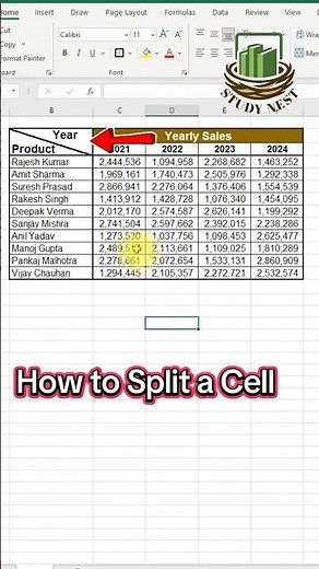 How to Split a Cell in Excel | Text to Columns Explained