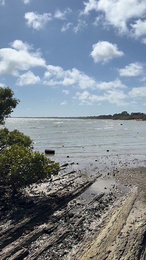 Going for a hot one today. A top of 29 with wind around. High Tide at 11:23 AM. Grab your ice and cold drinks from our Bottleo on the way home. | Hervey Bay Hotel