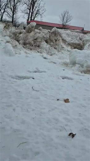 Looking for a magical winter activity the whole family can enjoy? ❄️ Your Library Card is your ticket to snowy adventures! Bundle up, head outside, and borrow a pair of our snowshoes to explore sparkling trails and fresh winter landscapes. We have multiple sizes available, so everyone can join in the fun. Create unforgettable memories, enjoy the crisp winter air, and discover the joy of free family fun right in our own winter wonderland! ⛄ #WinterFamilyFun #GetOutsideTogether | Hanover Public Li