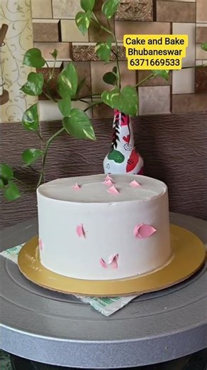 cakesicle and donut design cake #shorts #youtubeshorts #shortsfeed