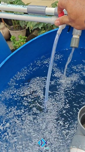 Cocok untuk lahan sempit dan skala belajar. Bisa untuk ketahanan pangan skala rumah tangga. Silahkan diorder kak 😊 Wa : https://wa.me/ 628158829679 lokasi kami📍 Gmaps: KANDANK IWAK PUSAT GROSIR IKAN NILA jl. Raya PLP curug. Kp/ds.Kemuning Rt.02/01 No.93 kec. Legok kab.Tangerang #fyp #pengikut #jangkauan #viral #budidayaikan #jualikan #nila #kolamtong #ras #redtilapia #rednils #overseas #tangerang #indonesia | Vertical Colony Ghodel