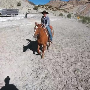 8.9K views · 158 reactions | New video is up on YouTube!! @wyatt_magnuson #broncsanddonks #country #mules #horse #bronc #rodeo #cowboy #western | Broncs and Donks | Facebook