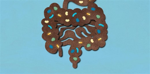 DIY faecal transplants? Don’t try this at home