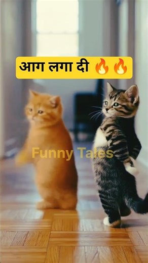 Cat dance ..👿🤣 #trending #shorts #viral_shorts