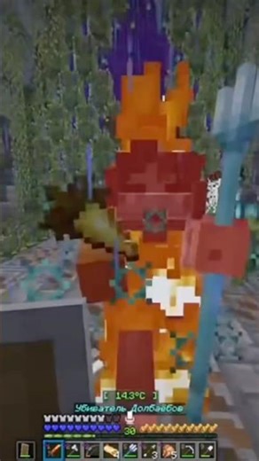Fight with a druid #minecraft