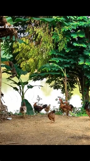 #bushcraft #building #camping #farmlife #garden #harvesting #fruitsbasket #build #outdoors | My Bushcraft