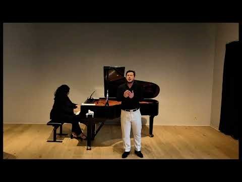 Una furtiva lagrima - Nemorino - Elisir d'amore