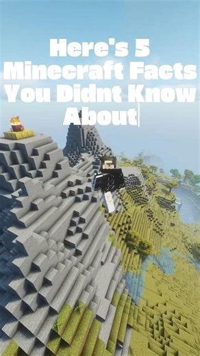 Minecraft Facts You Didn't Know About