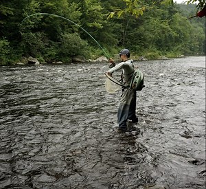 Your Complete Guide to Czech Nymphing (Tips, Flies, Rigs, and More) - Flylords Mag
