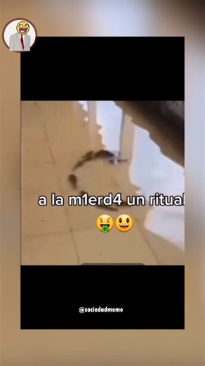 Qué tonta Kira 😮‍💨 #meme #reels #mascota #latam #inundación #pez #humor #sociedadmeme | Sociedad Meme