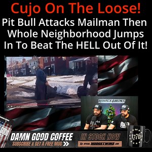 Pit Bull Attacks Mailman Then Whole Neighborhood Jumps In! | The Hodgetwins