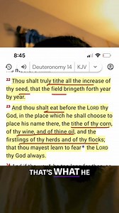 Is your pastor using Old Testament tithing rules while asking for 'seed' money? Tithing was for a people already given the earth to cultivate. What does it really mean today? Food for thought. #Tithing #SeedMoney #ChurchFinance #BiblicalInterpretation #FaithAndMoney | Fanmailtvnews