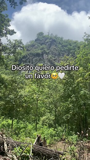 Anderson Alonzo on TikTok