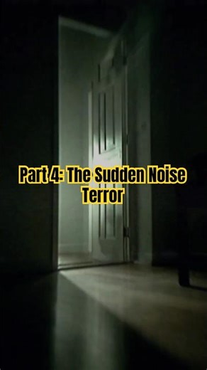 #Paranormal Activity Caught on Camera – Part 4: The Sudden Noise Terror