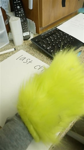 Most dental insurance benefits reset at the end of the year, which means any unused cleanings or treatments don’t roll over. If you’ve been meaning to schedule, this is the perfect time. Have you used your benefits this year? Call our office to schedule your appointment before the benefits reset. 208‑419‑3702 or visit: https://www.mycomfortcaredental.com/contact-information/ #ComfortCareDental #IdahoFallsDentist #CosmeticDentistry #SmileMakeover #TeethWhitening #Veneers #ConfidentSmile #HealthyS