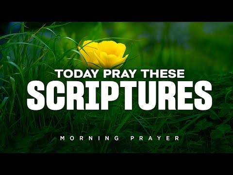 Start Your Morning with a Prayer That Carries Power | A Blessed Morning Prayer To Start Your Day