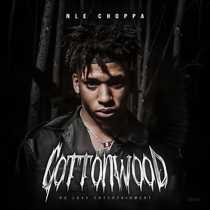 Cottonwood by NLE Choppa