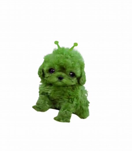 Cute Alien Dog Moments That Will Make You Smile