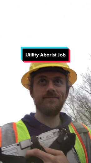 Andrew The Arborist on TikTok