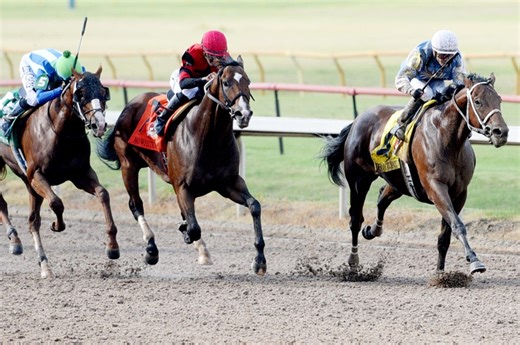 DRF's Saturday Race of the Day: The Louisana Derby at Fair Grounds: Picks, Preview, and Analysis for March 21