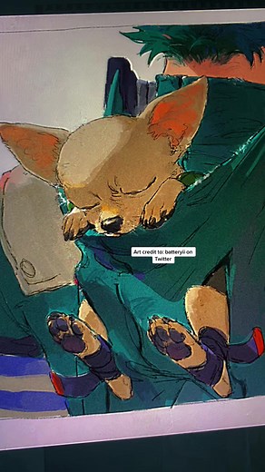 Deku’s Chihuahua - Cute and Funny Pet Moment