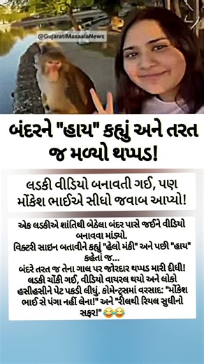 બંદરને "હાય" કહ્યું અને તરત જ મળ્ય!#Viral #gujaratinews #gujaratisamachar #sandesh #divyabhaskar