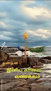 4.2K views · 69 reactions | Gokulam Tamil Radio on Reels | Facebook