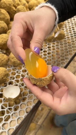 What is inside 🥹🥚this GOLDEN SHELL?#Shorts