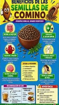 Los Beneficios de las Semillas de Comino