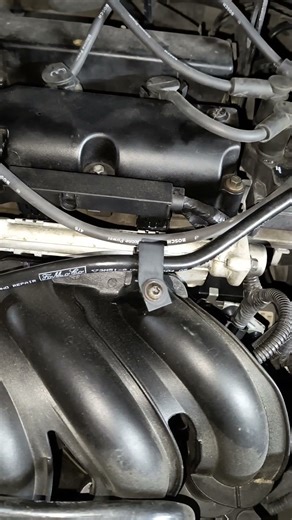 Ford Focus 2 1.4 fuel pressure check #fordfocus #fordfocus