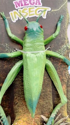 My Screen is lock #mega #insect #shorts #haul