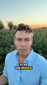 Most alcohol alternatives take hours to kick in and leave you spaced out when they do. Spruce Cocktail works within minutes—just like your favorite drink. It’s easy to stack, so you stay in control. And the nootropic blend helps you stay relaxed, engaged, and socially sharp—no blanking mid-conversation. | Spruce Natural Labs