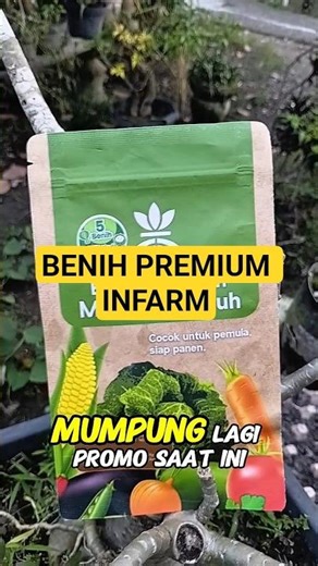 BENIH PREMIUM INFARM