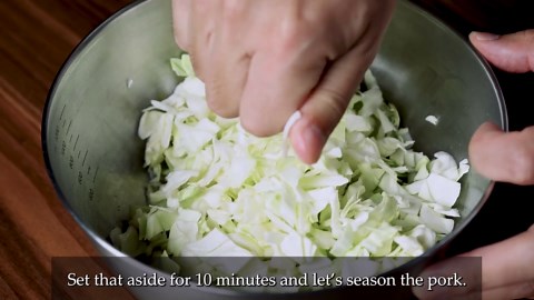 Crispy & Juicy Pork Gyoza – Ultimate Pan-Fried Dumplings Tutorial | Sudachi 🥟🔥