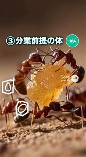 Why do lonely ants die? #Sora#AI