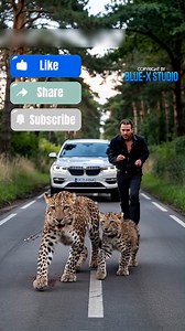 128K views · 3.2K reactions | Snow Leopard, Old Man & Puppies Go Camping by the Snow Stream Peaceful Winter Adventure | Team Bahía Runners | Facebook