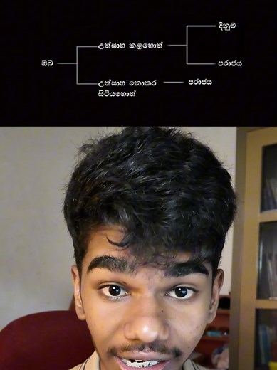 Logical Choice Flowchart: Mindset & Outcomes