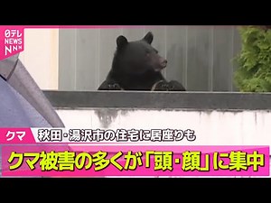 【クマ】クマ被害の多くが「頭・顔」に集中 全国各地で被害相次ぐ 秋田・湯沢市の住宅に居座りも ── ニュースまとめ （日テレNEWS LIVE）