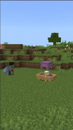 This Trick Lets You FLY Without Elytra!