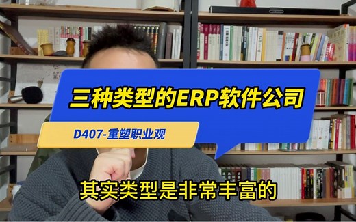 三种类型的ERP软件公司