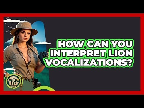 How Can You Interpret Lion Vocalizations? - The Wild Life Explorer