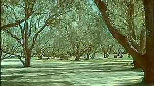 Batman and Robin (serial) - colorized - 1949