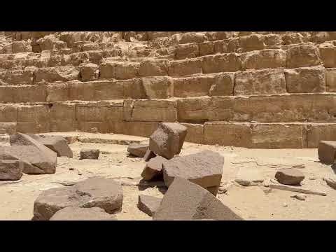 Wonderland Walking Tours Live Stream