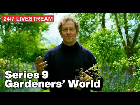 🔴 Gardeners' World with Monty Don | Series 9 | Full Episodes | 24/7 Livestream