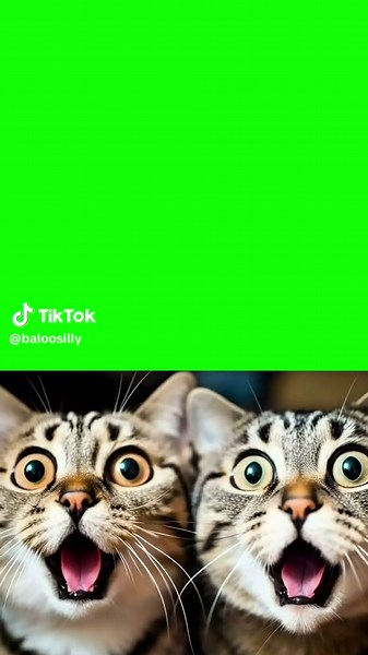 Shocked Faces Halloween Memes Compilation