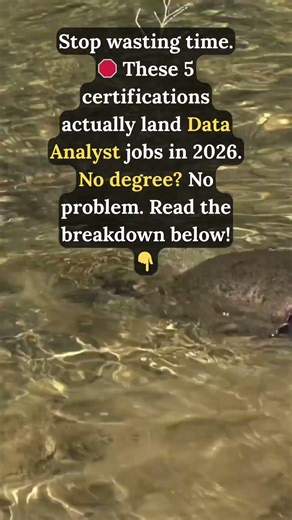 Google vs. IBM vs. Microsoft: Which Data Certificate Actually Gets You Hired? #shorts