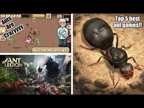 I played the top 5 ants games!