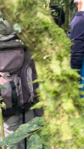 Sam Uganda -Rwanda safaris | Chimpanzee tracking is an unforgettable adventure — listening to calls echo through the forest, watching chimps leap between trees, and... | Instagram