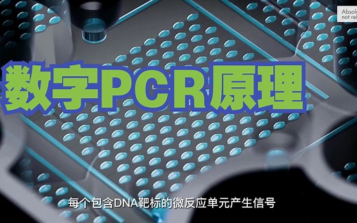 （一） 数字PCR原理探究 #dPCR